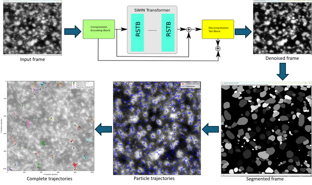 Schematic of particle detection and trajectory tracking