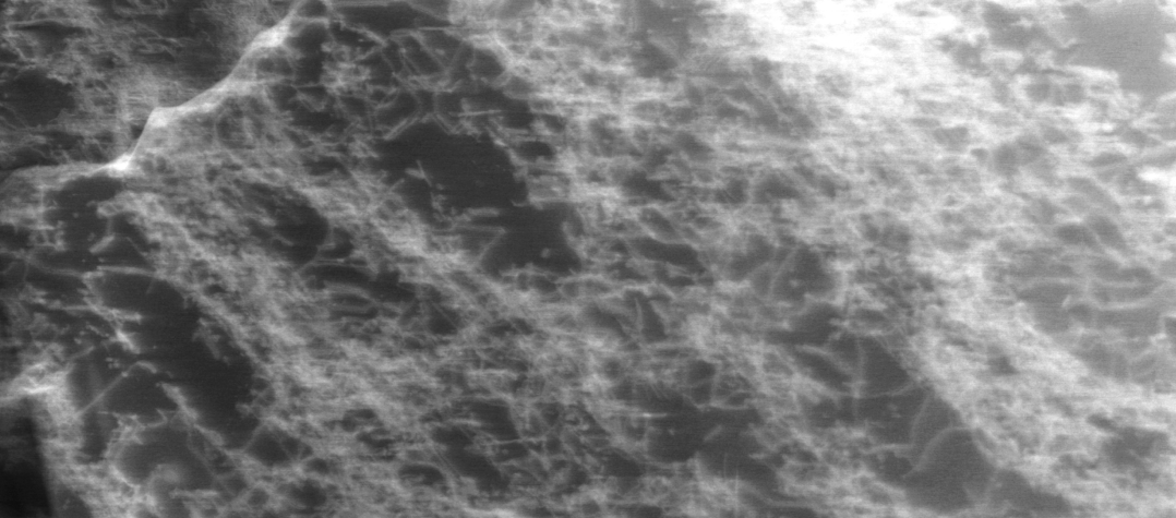 ADF-STEM image of hydrogen cycled FeTi showing a high dislocation density.